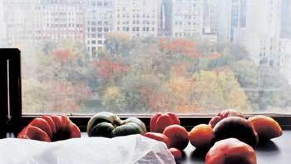 Image: Desde el paraíso de Wolfgang Tillmans