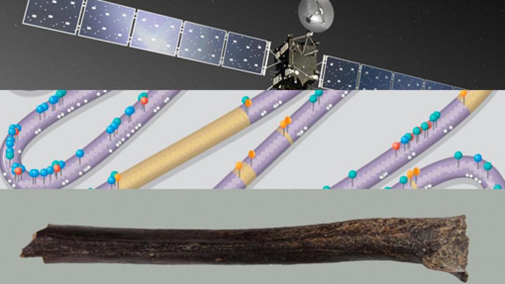 Image: El año Rosetta