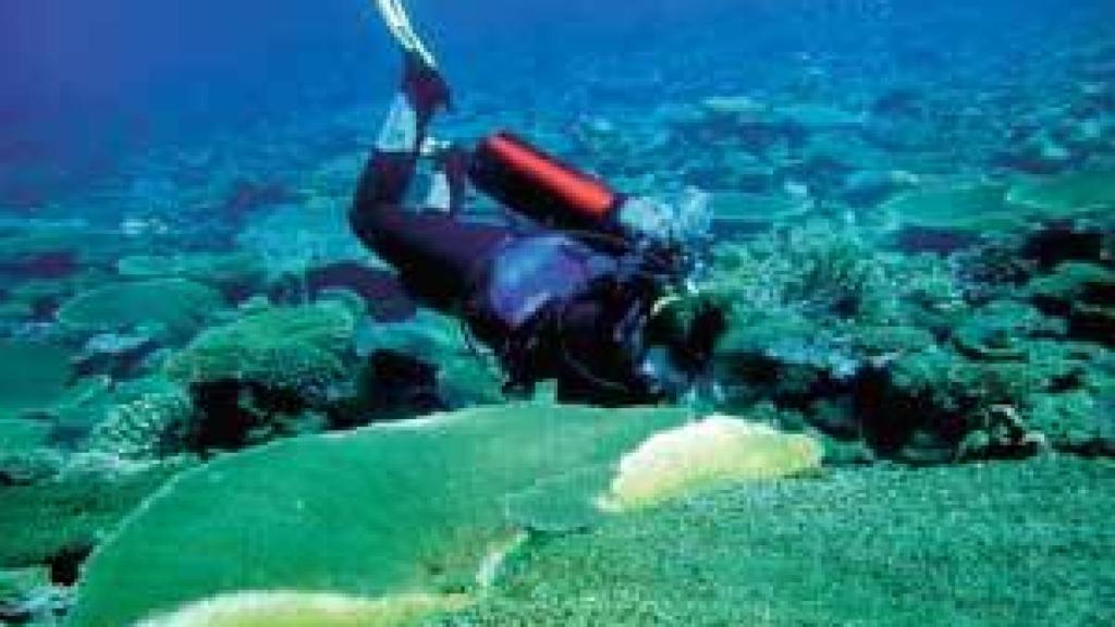 Image: La revolución azul