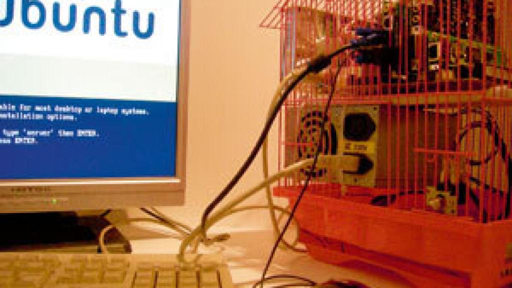 Image: La otra vida de la basura