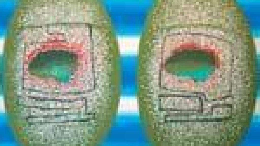 Image: Cartas inéditas de Juan Valera, en el centenario de su muerte