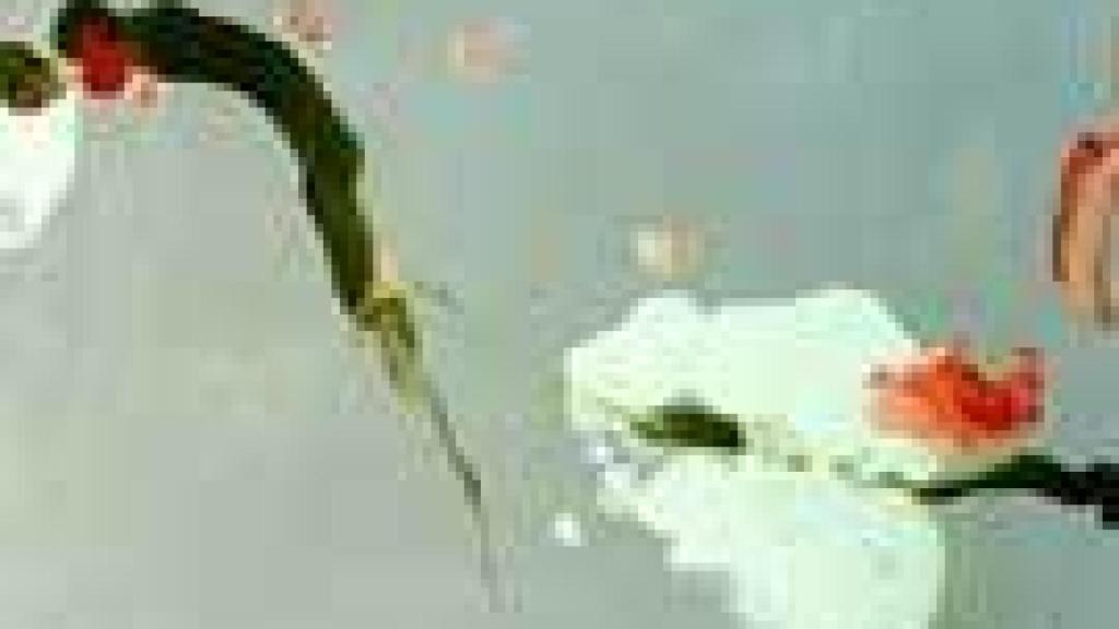 Image: Patricia Azcárate