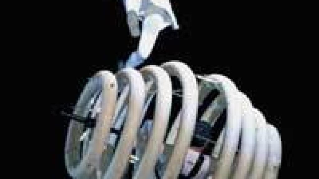 Image: Fanáticos del verano