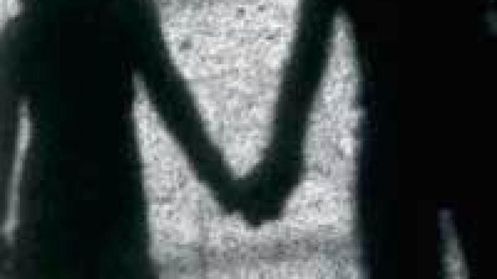 Image: Fermín Cabal y Carmen Resino, en el Círculo