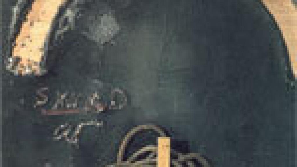 Image: Tàpies tierra con alma