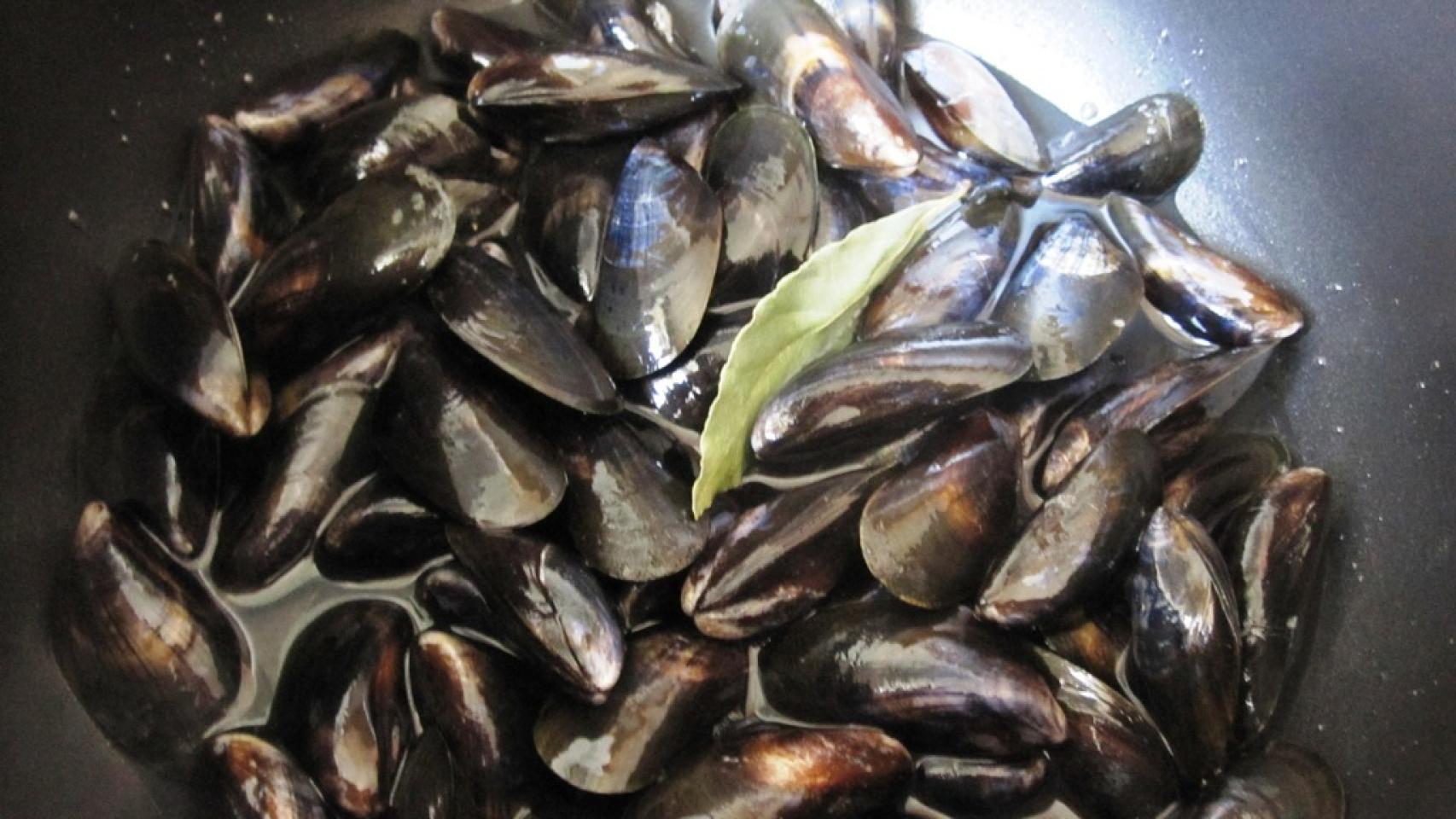 Mejillones tigres 1