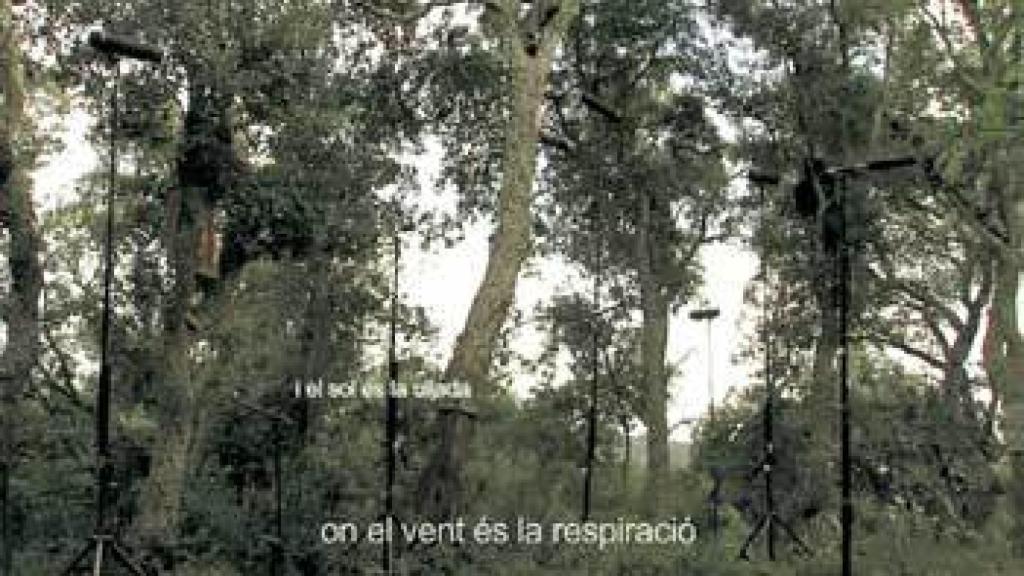 Image: Perejaume y el oráculo