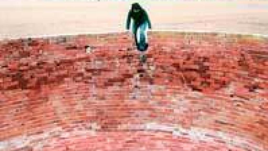 Image: Tomás Miñambres