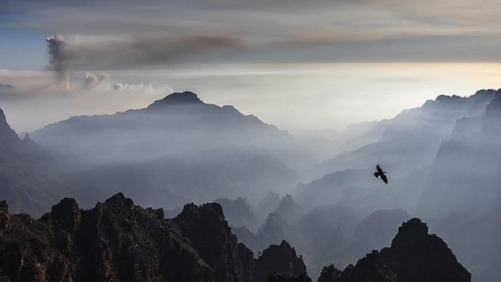 Imagen | Y a los cien días La Palma descansó