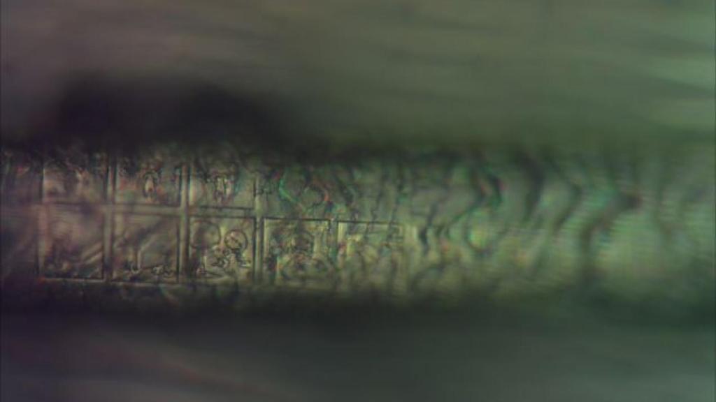 Tira cómica Claudia Puhlfürst