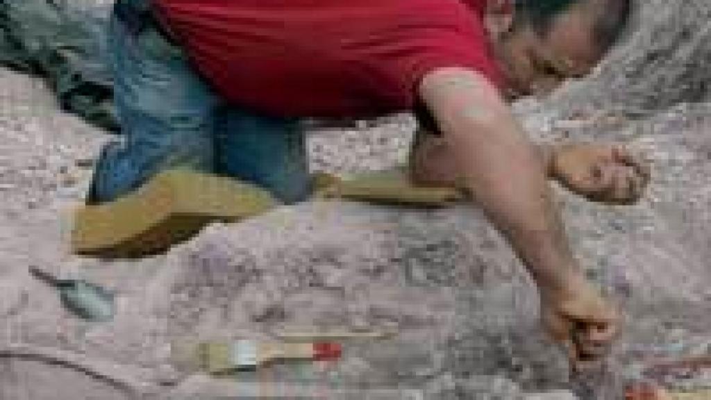 Image: Juicio a la memoria