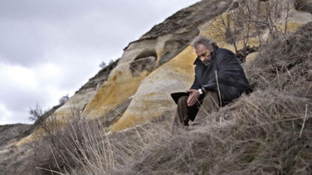 Image: El sueño invernal de la Palma de Oro