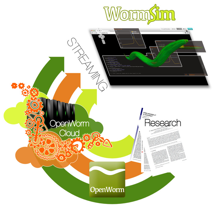 openworm_kickstarter