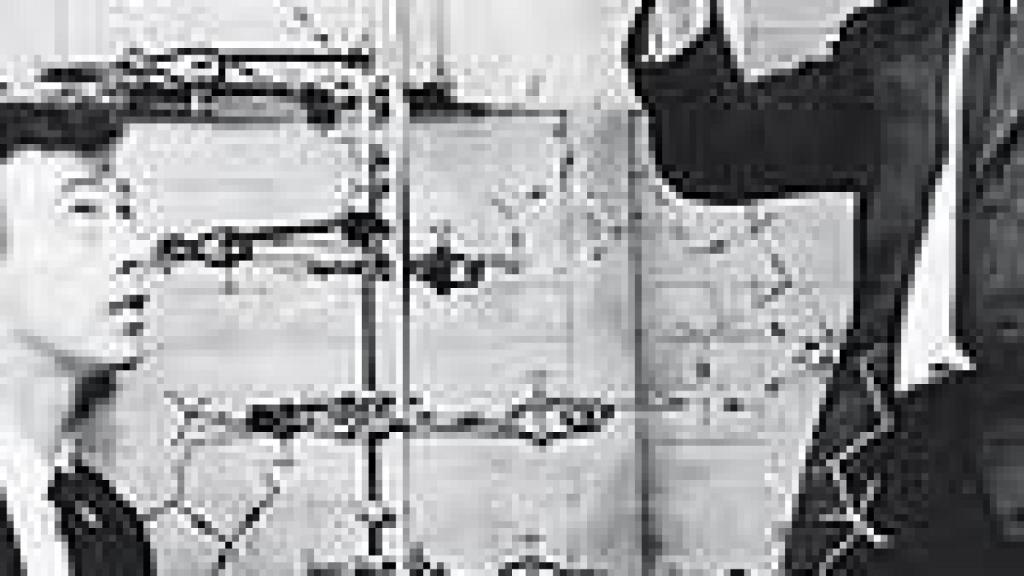 Image: ADN el secreto de la vida