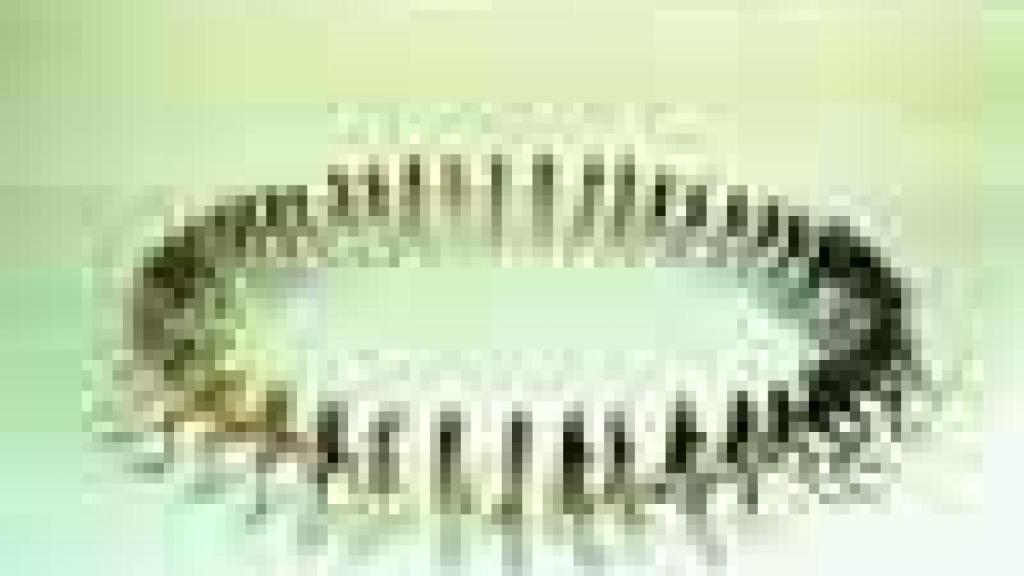 Image: Versiones del sur