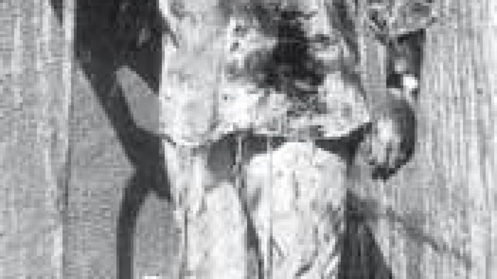 Image: Paseo por la memoria, por Darío Villalba