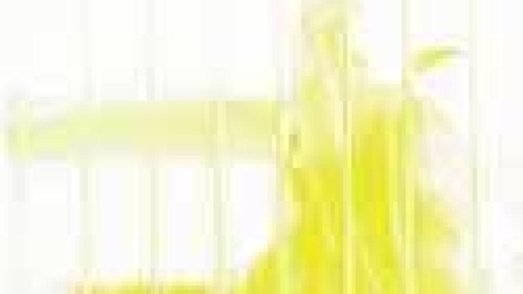 Image: Gamdrup, tiempo enjaulado