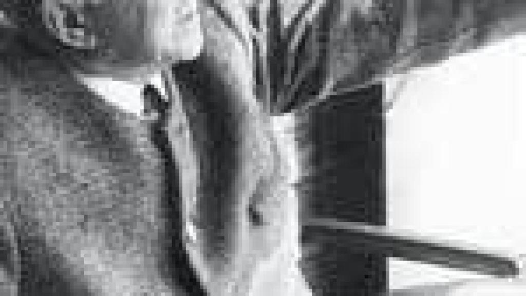 Image: La parte y el todo