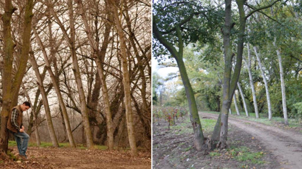 'Gran Reserva' como ruta enogastronómica de La Rioja