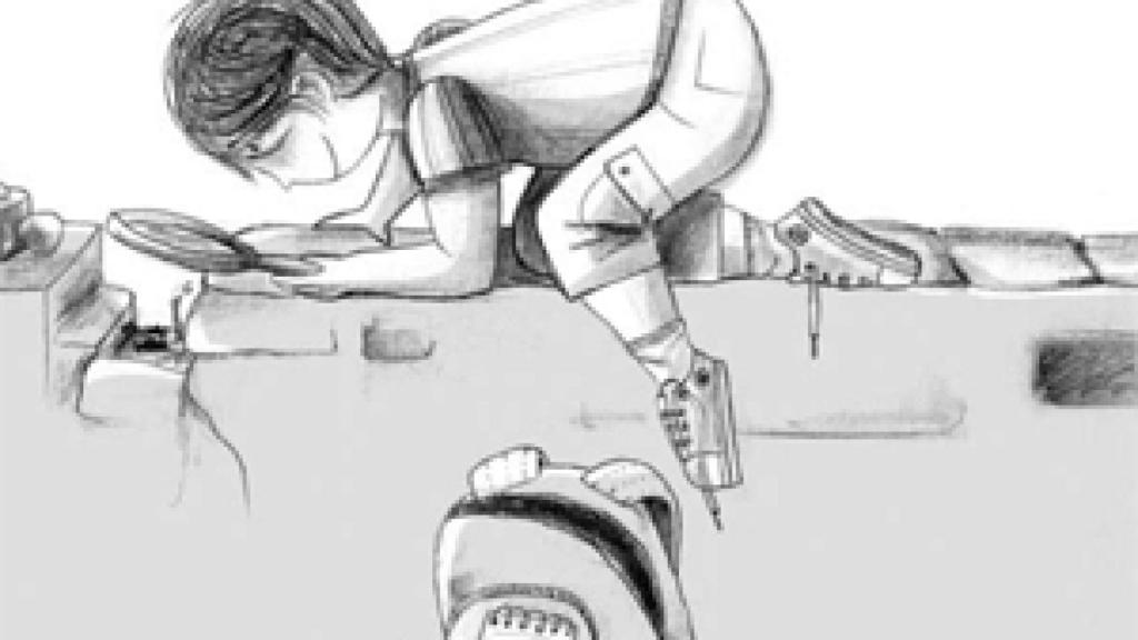 Image: Noches de sapos