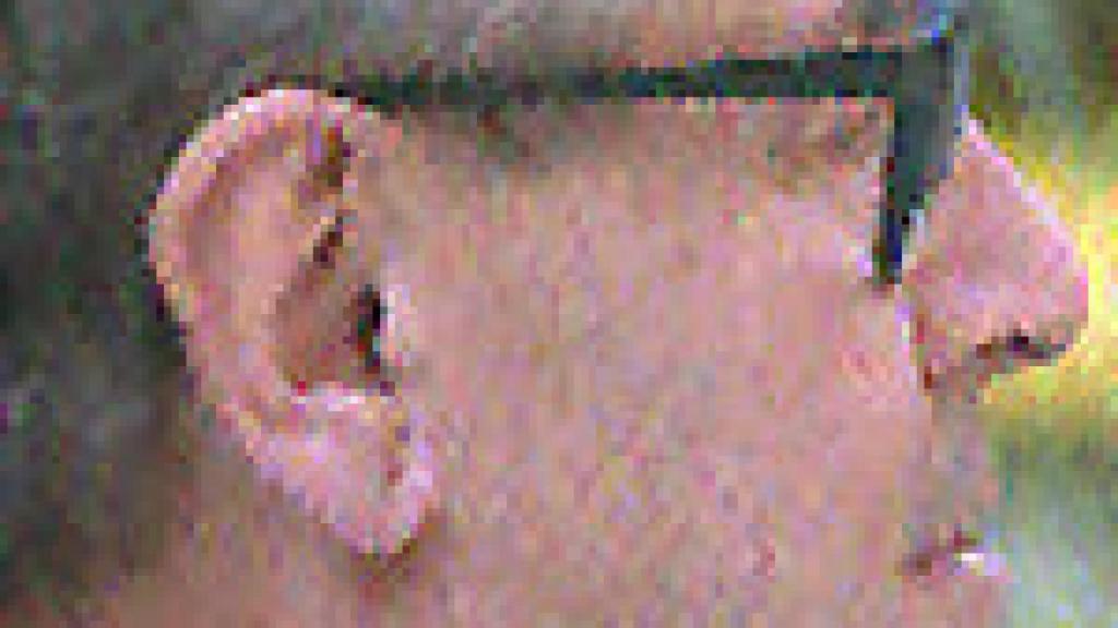 Image: Milos Forman: Hollywood no existe