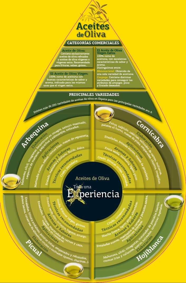 gota-aceite-oliva-guia