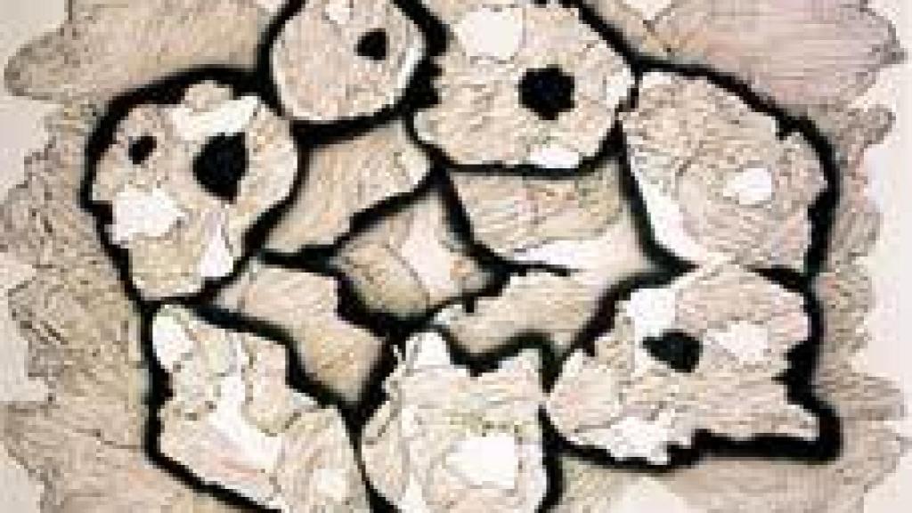 Image: Miguel ángel Blanco, el guardián del bosque