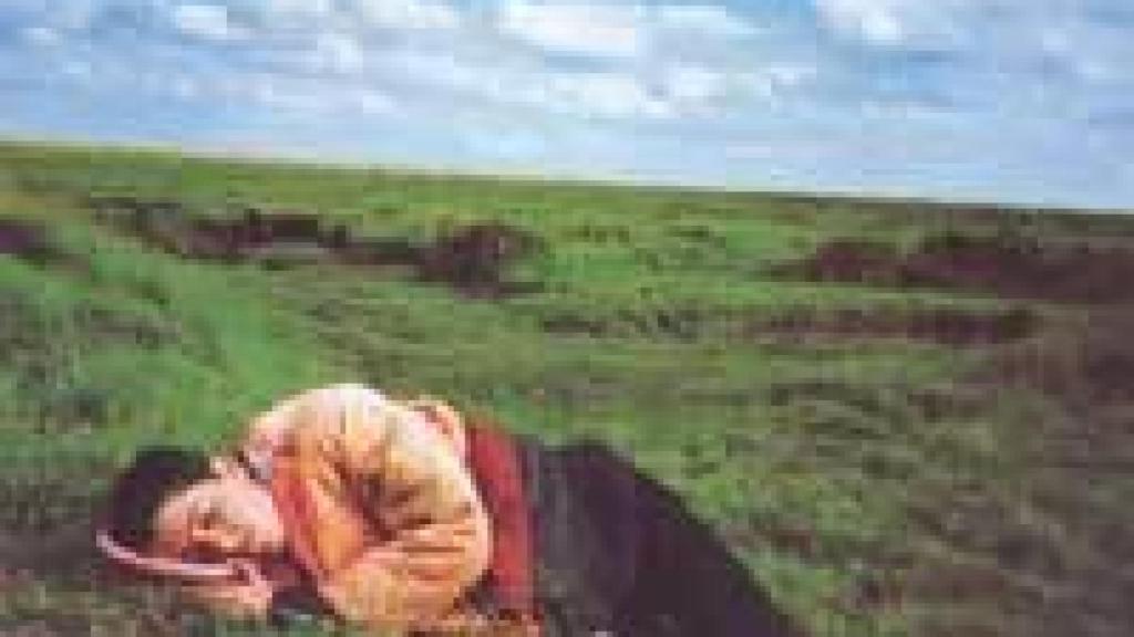 Image: Vinca Petersen