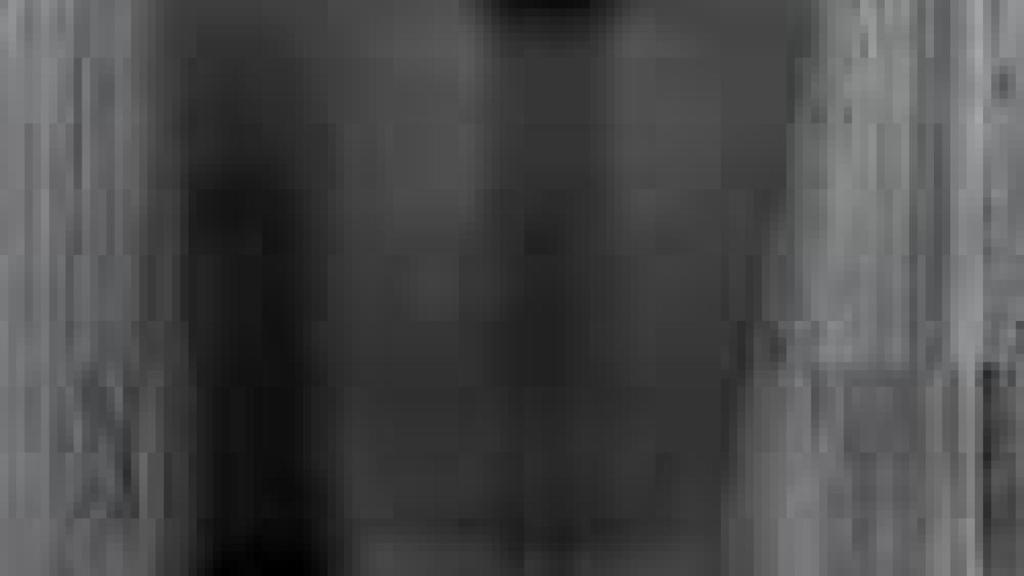 Image: Accionistas y performers