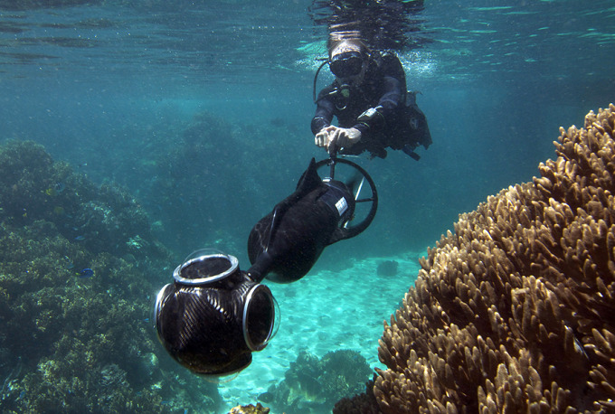 gran-arrecife-coral-02