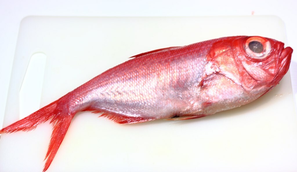 Palometa roja