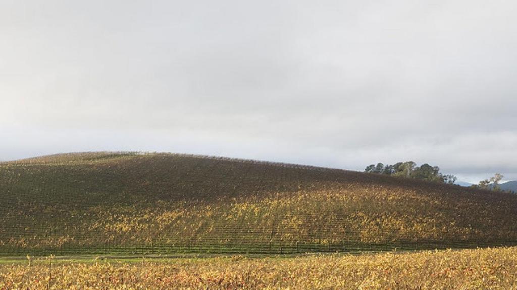 windows-xp-fondo-original