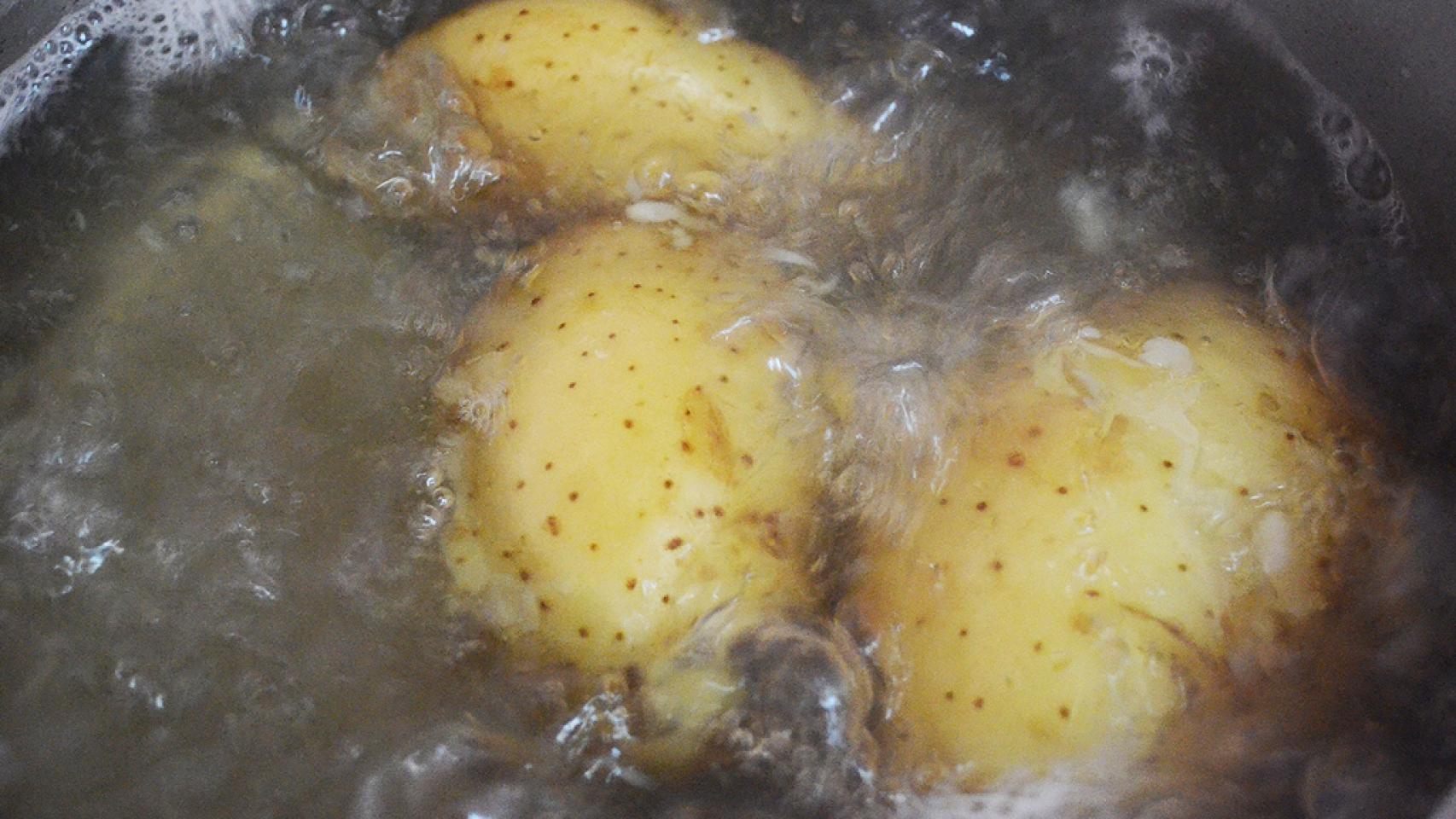 pure-patata-queso (1)