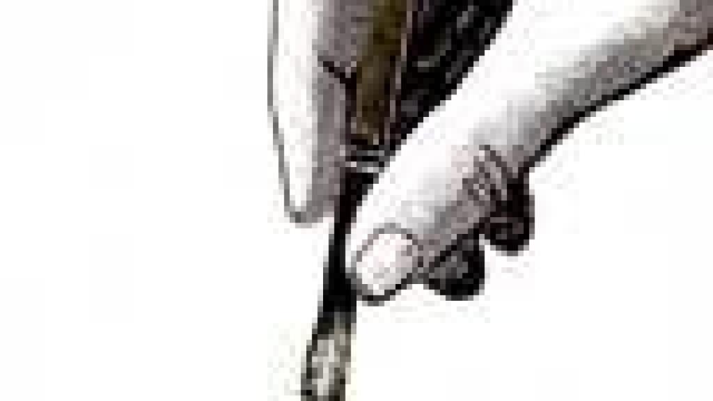 Image: Zap, un pez pintado