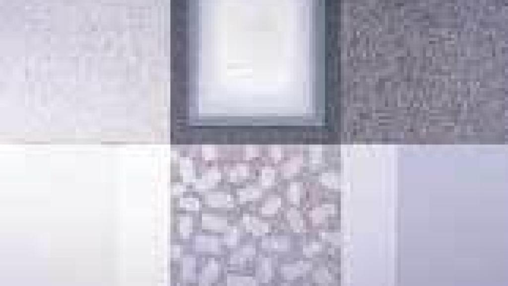 Image: Luis Canelo, a través del microscopio