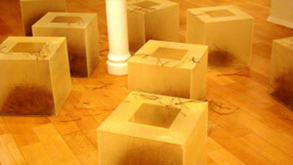 Image: Gloria Ceballos