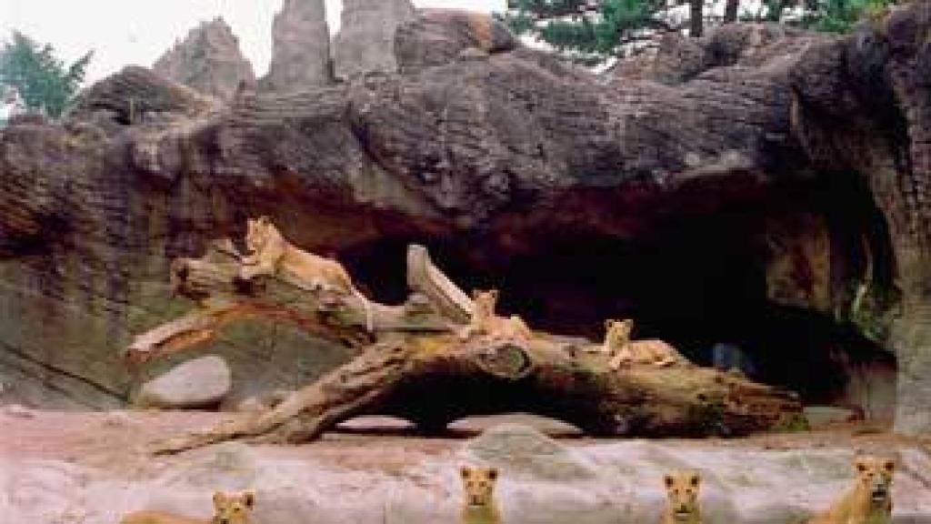 Image: Ignacio Evangelista, la nobleza anhelada