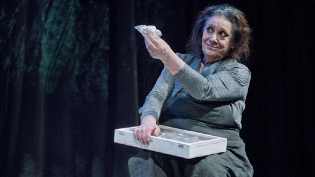 Image: Terele Pávez