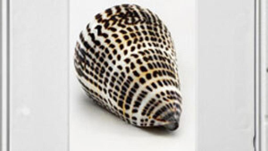 Image: José Ramón Amondarain: pintar el grumo