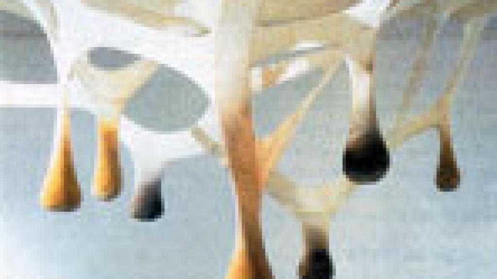 Image: Ernesto Nieto