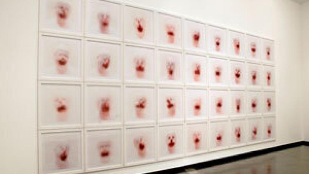 Image: Roni Horn, premio Joan Miró 2013