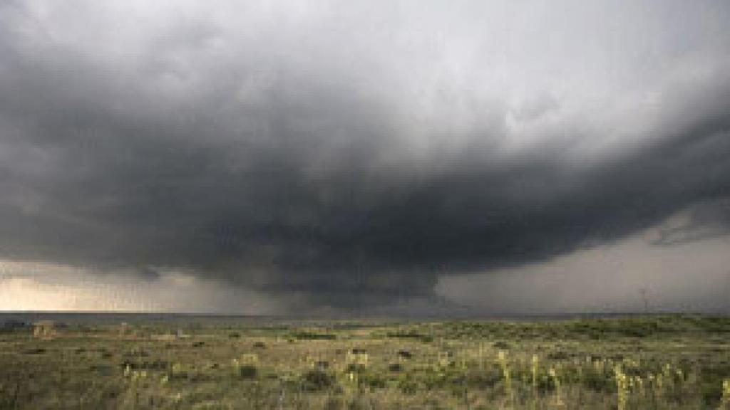 Image: Inéditos y consolidados