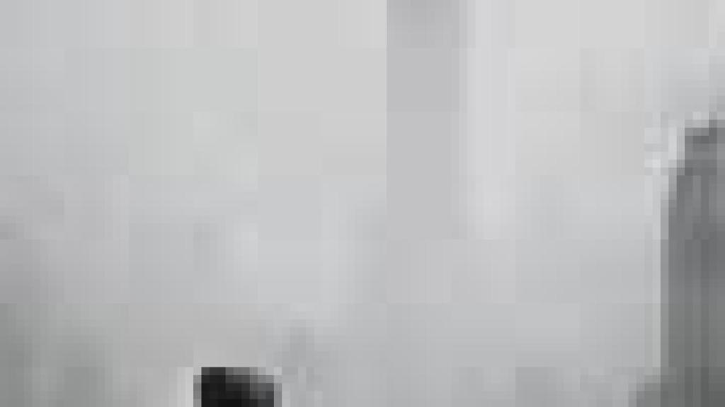 Image: Poético Elliott Erwitt