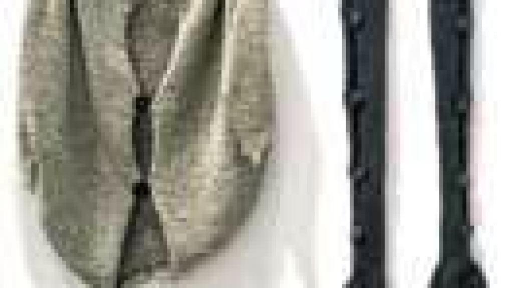 Image: La realidad invadida