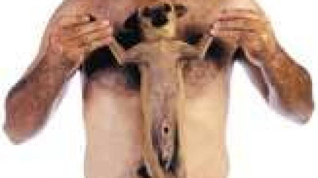 Image: Juan Hidalgo, la vida como arte