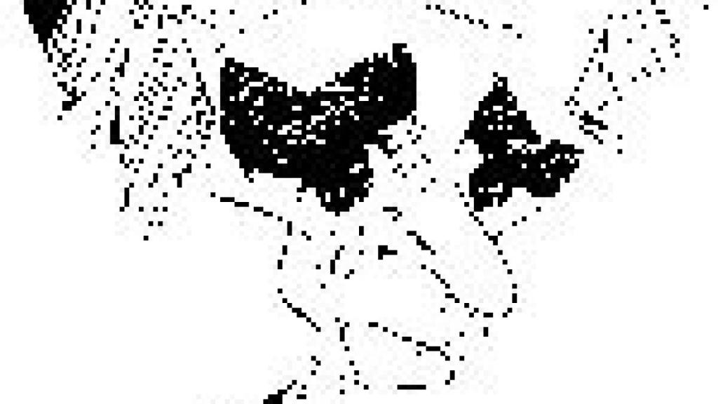 Image: Cuadernos 1957-1972