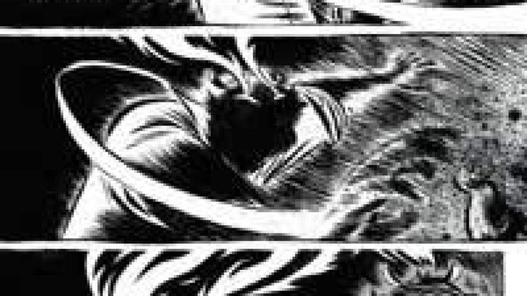 Image: Bienvenidos al reino de la novela gráfica