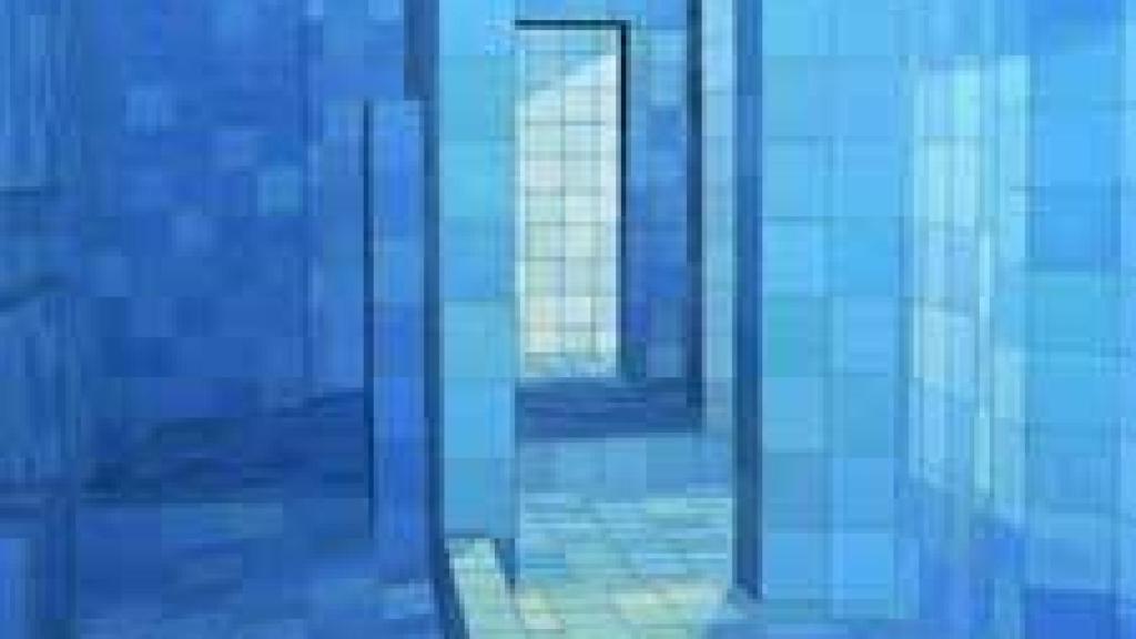 Image: Adriana Varejao