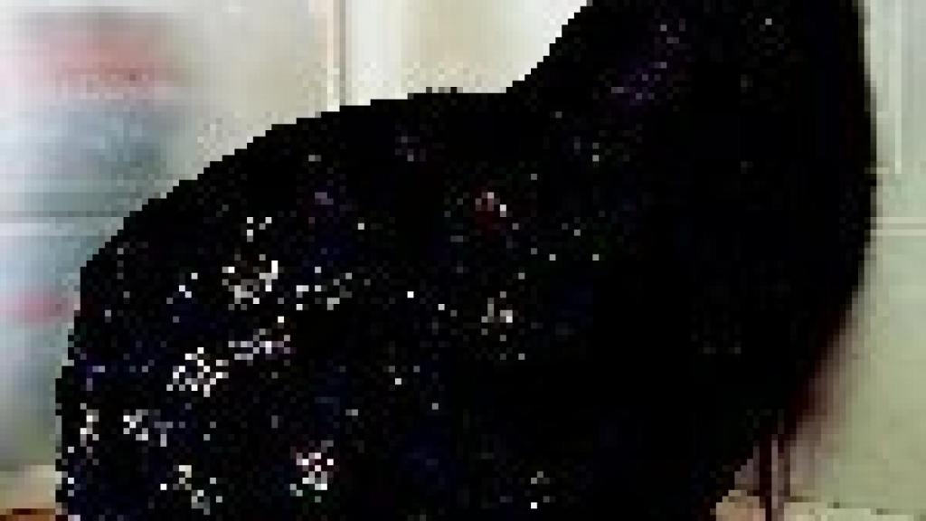 Image: Gimeno y Monje