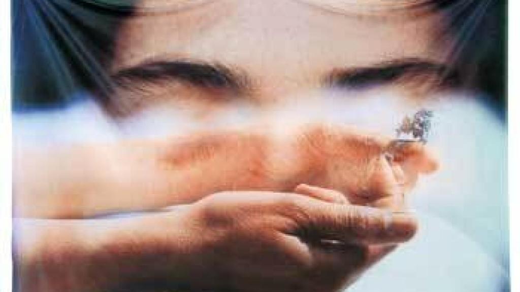 Image: ¿Hay una mirada femenina?